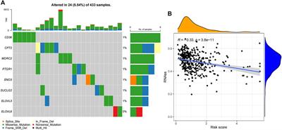 Prognostic significance and immune landscape of a fatty acid metabolism-related gene signature in colon adenocarcinoma